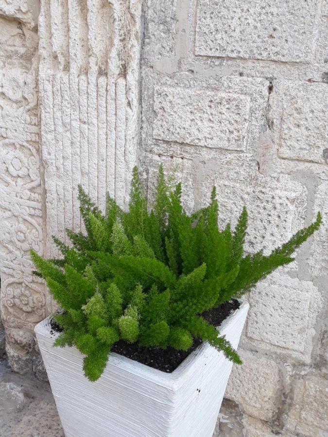 Le Bifore B&B Molfetta Exterior foto